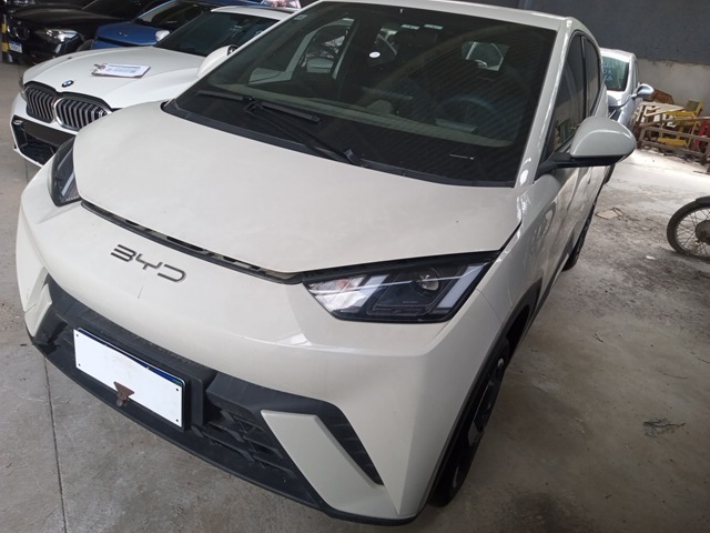 LOTE 099 DOLPHIN MINI GS EV 2023/2024 